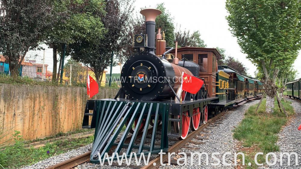 Steam Engine Trains Dant